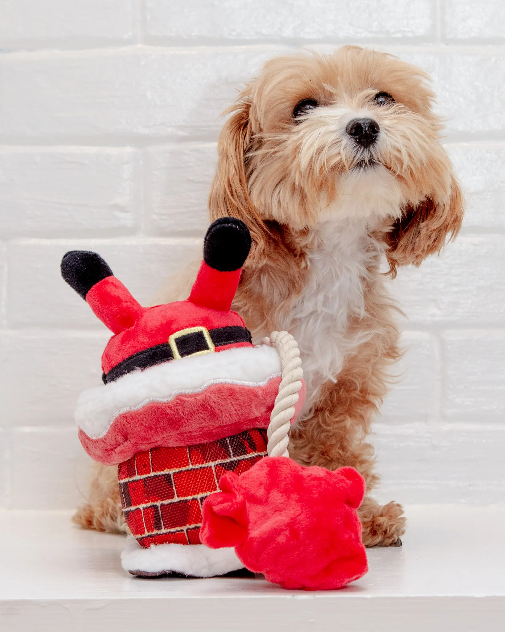 Clumsy Claus Holiday Squeak + Crinkle Dog Toy << FINAL SALE >>