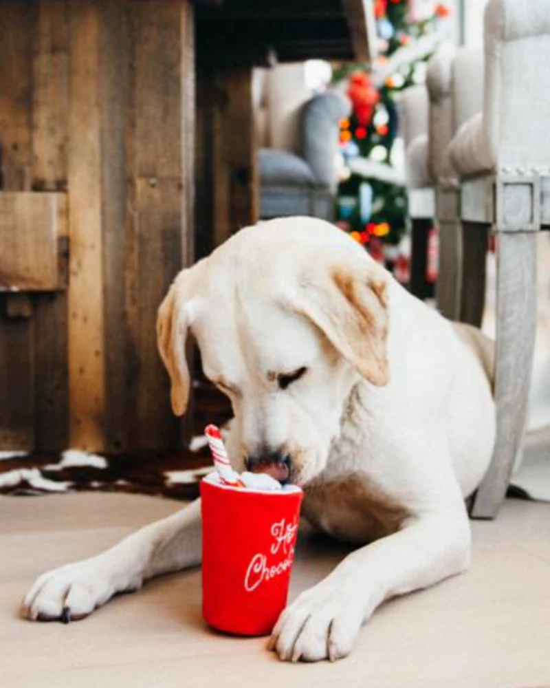 Squeaky Hot Chocolate Holiday Dog Toy - Image 3