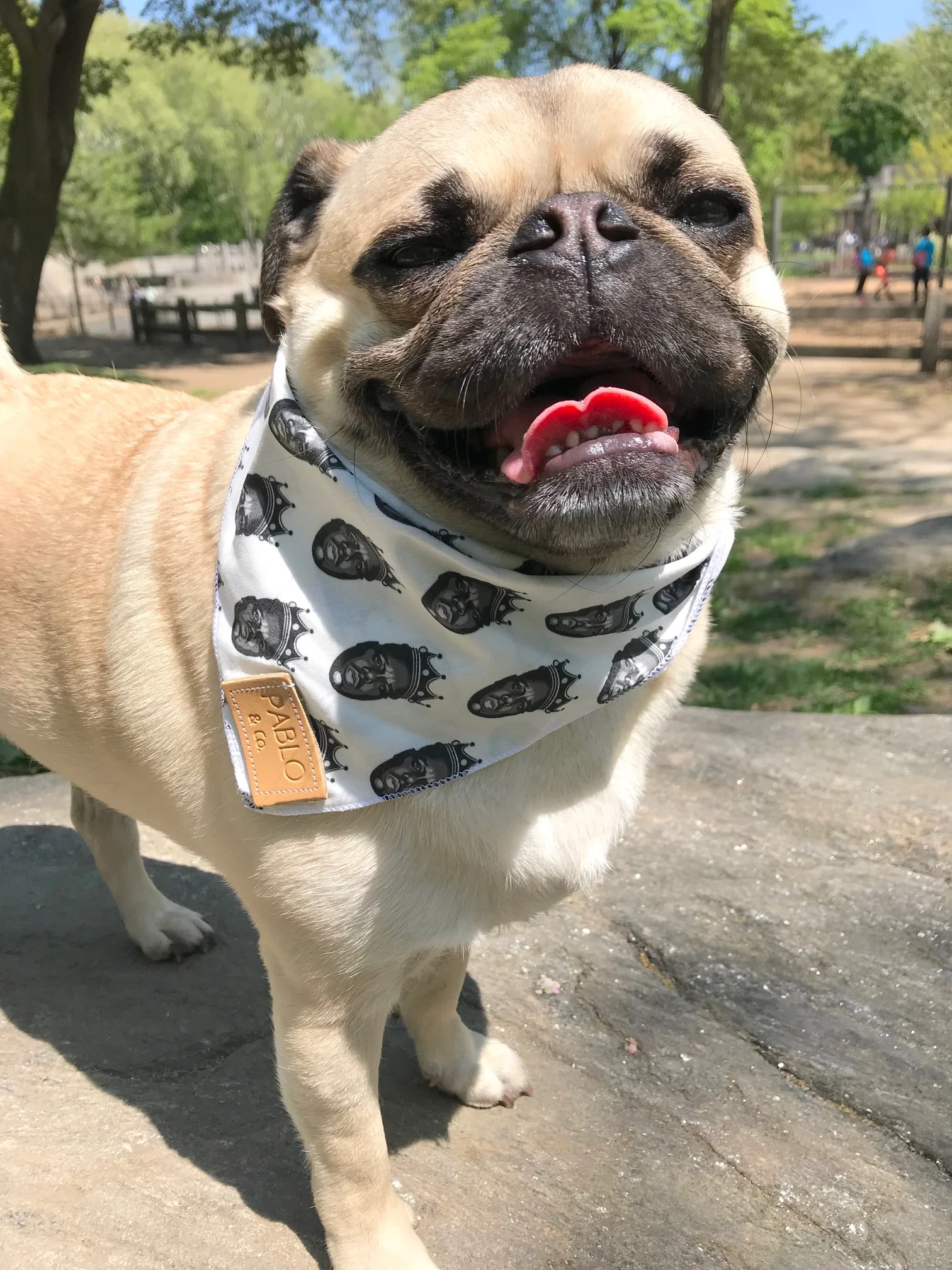 PABLO & CO. | Biggie Bandana - Image 3