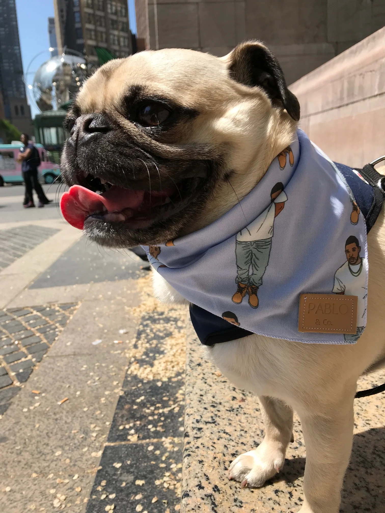 PABLO & CO. | Drizzy Bandana - Image 2