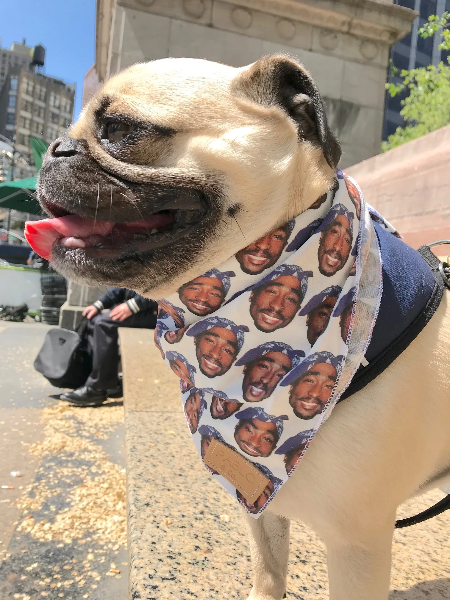PABLO & CO. | Tupac Bandana - Image 3