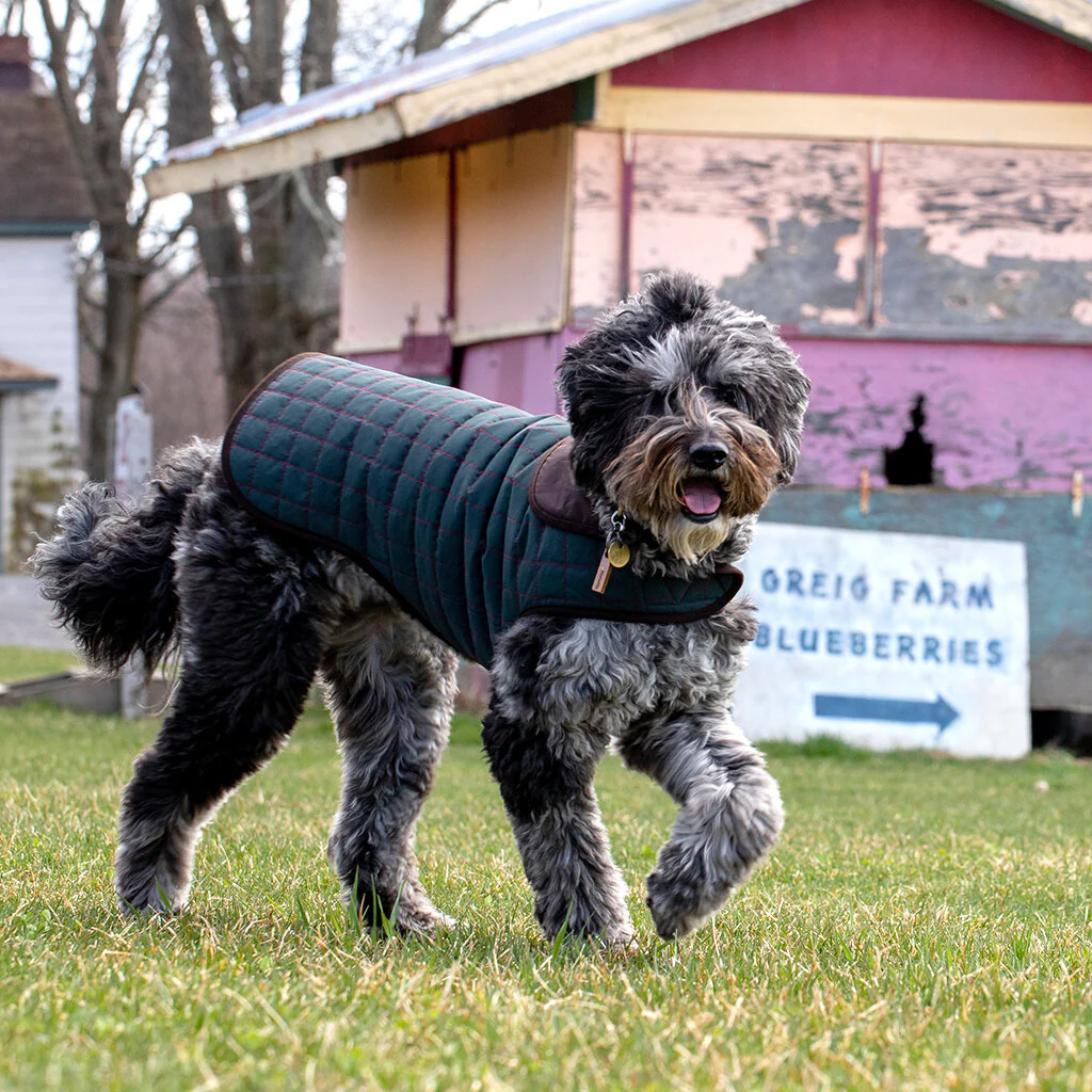 The Traveler Fleece-Lined Waterproof Dog Coat << FINAL SALE >> - Image 5
