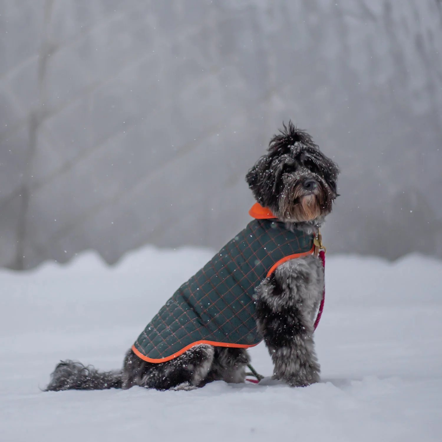 PACO & LUCIA | Mayu Marus Water Resistant Coat - Image 3