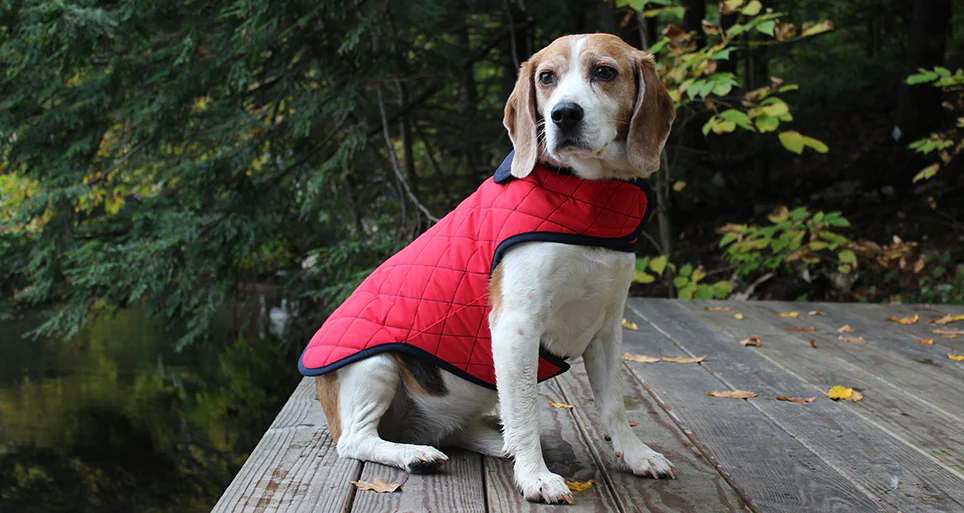 PACO & LUCIA | Andean Peaks Quilted Jacket in Red (Water Resistant) - Image 2
