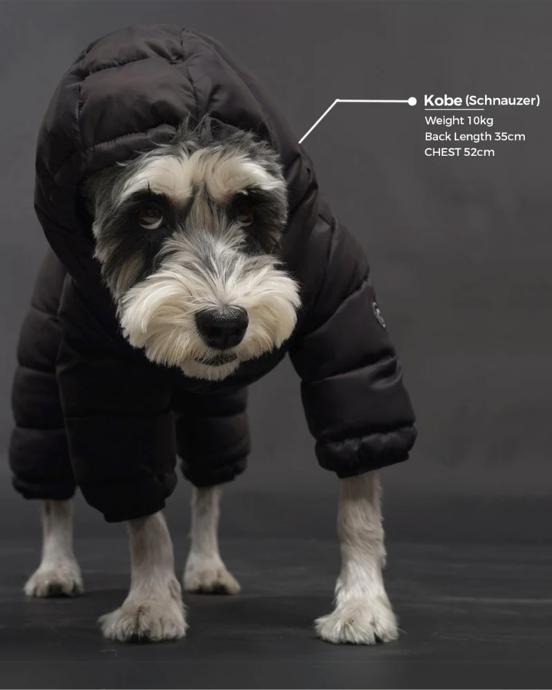 Padded Winter Coverall for Dogs w/ Hood - Image 3
