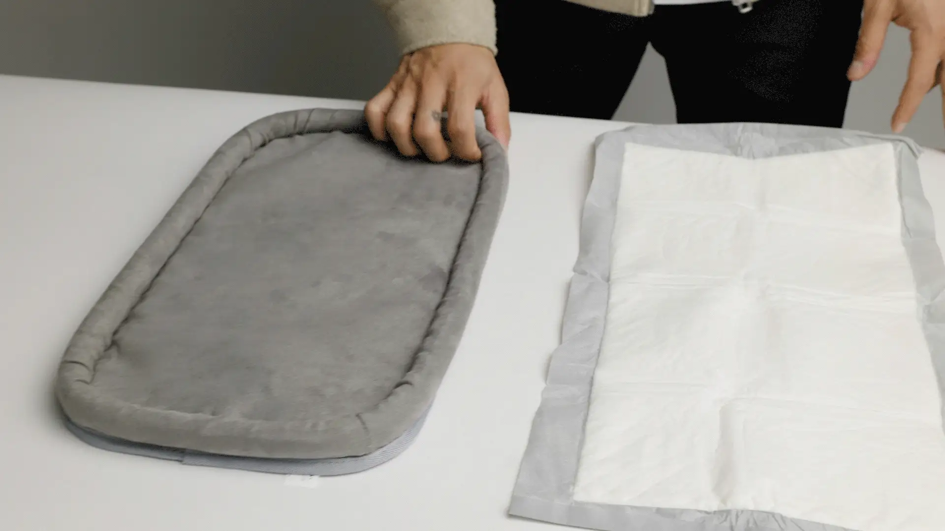 Passenger Travel Pet Carrier (Airline-Friendly) - Image 6