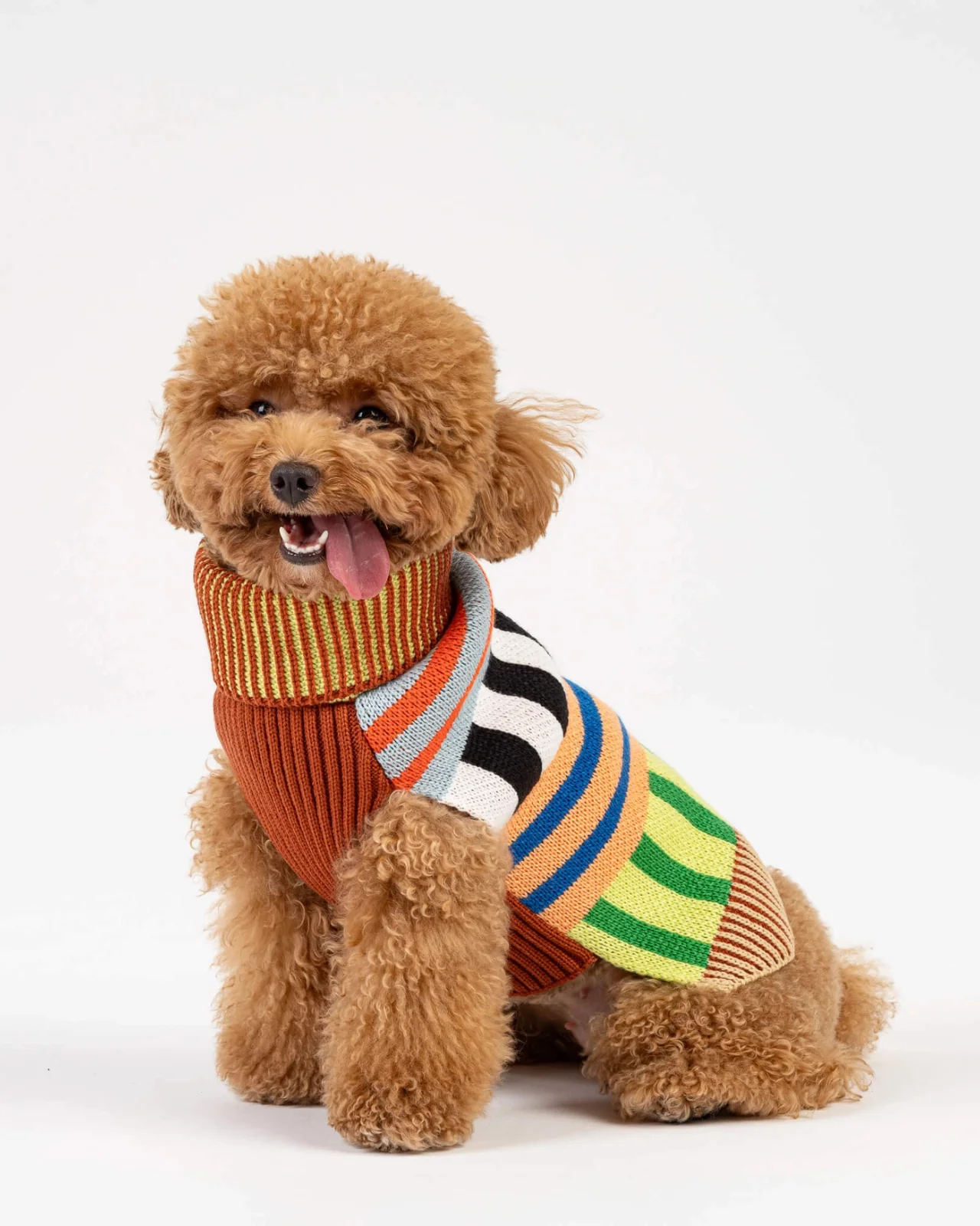 Patchwork Stripe Dog Sweater in Desert - Image 3