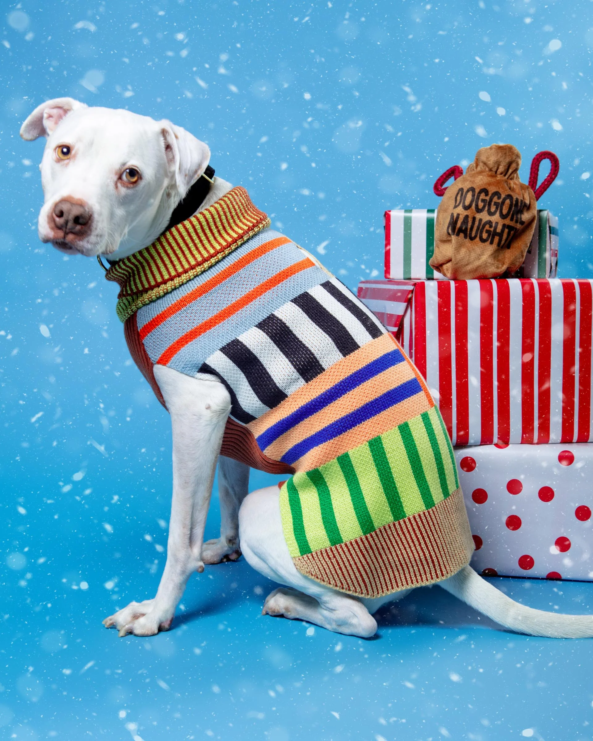 Patchwork Stripe Dog Sweater in Desert - Image 7