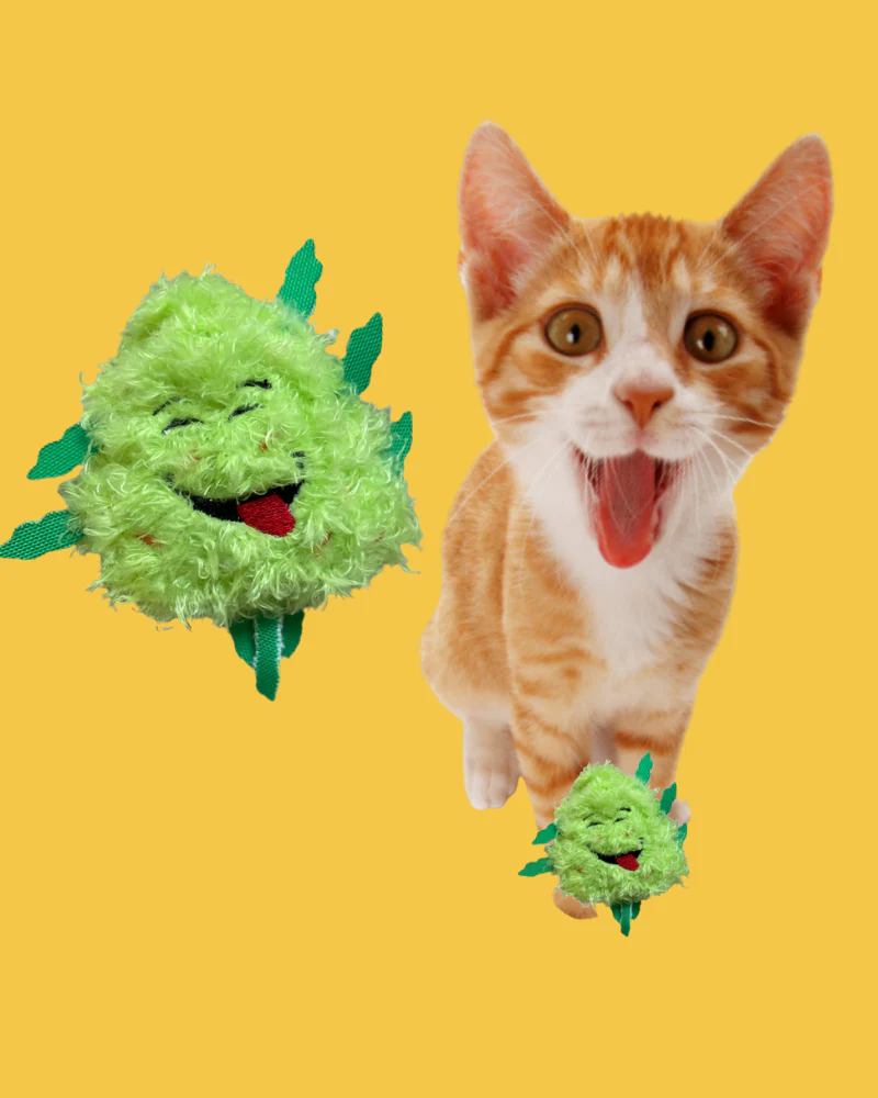 BUD JR. Catnip Cat Toy