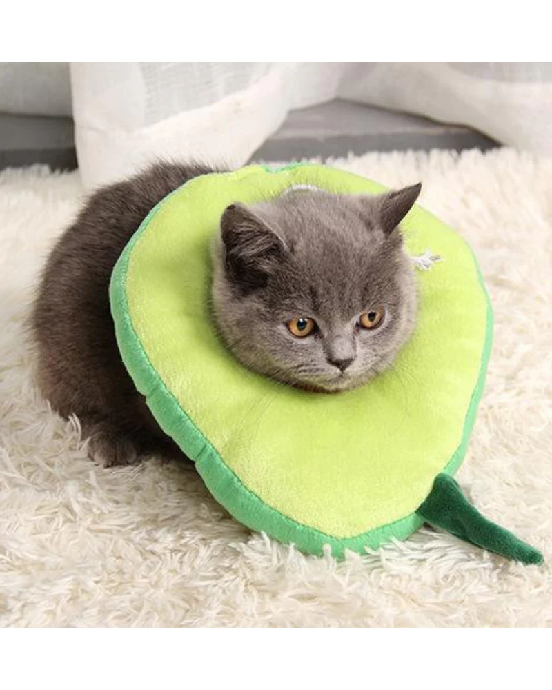 Small Dog & Cat Avocado Cone - Image 3