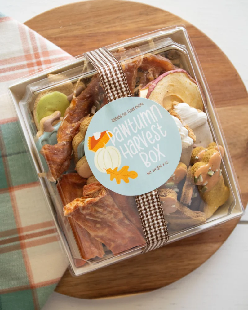 Pawtumn Harvest Dog Treat Box - Image 2