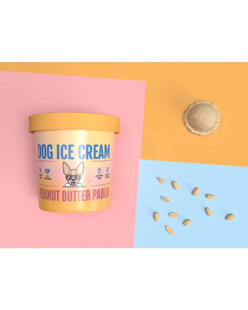 Peanut Butter Pablo Human Grade Dog Ice Cream Mix (Lactose-Free) - Image 6