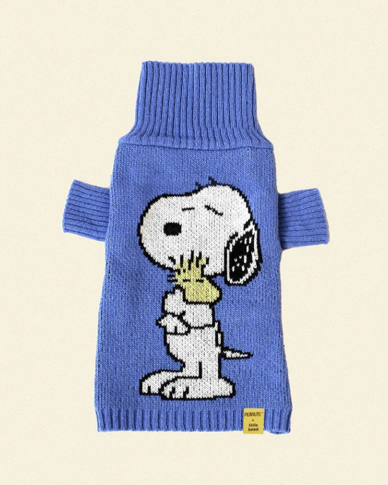 Peanuts Snoopy Dog Sweater in Blue