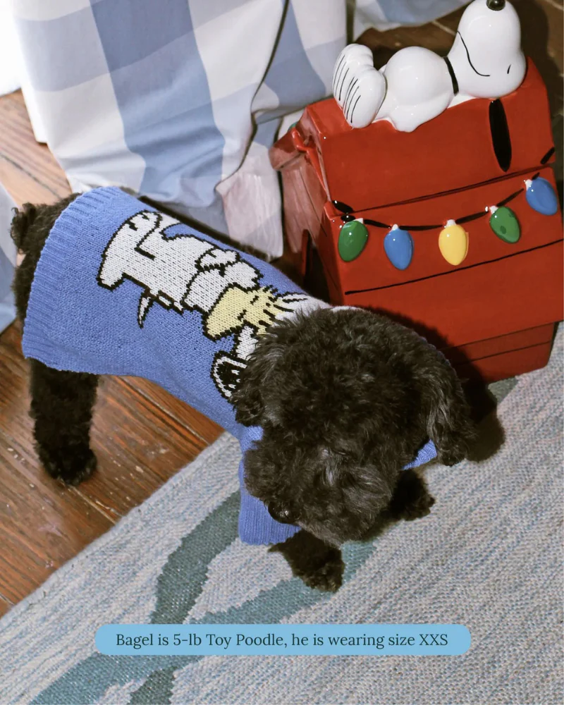 Peanuts Snoopy Dog Sweater in Blue - Image 3