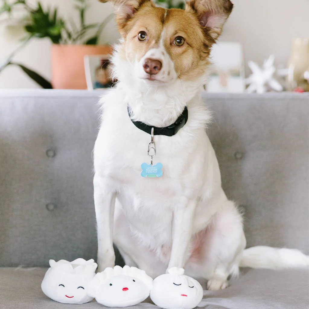 Dim Sum Dumplings Dog Toy Set (FINAL SALE) - Image 4