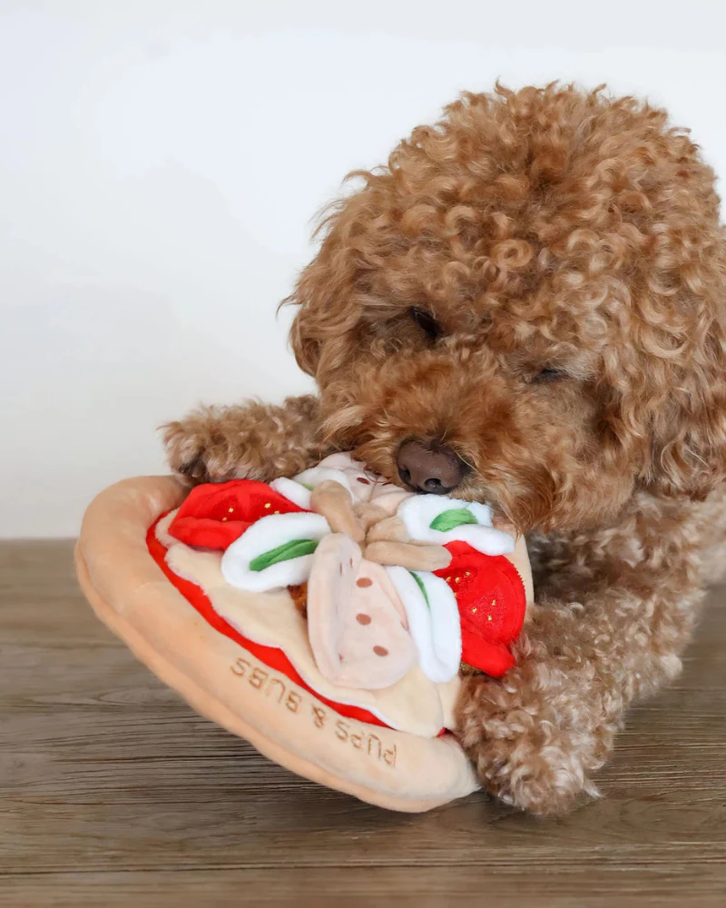 Pepperoni Pizza Nosework Dog Toy - Image 4