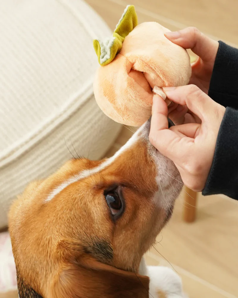 Persimmon Snuffle Squeaky Plush Toy for Dogs - Image 3