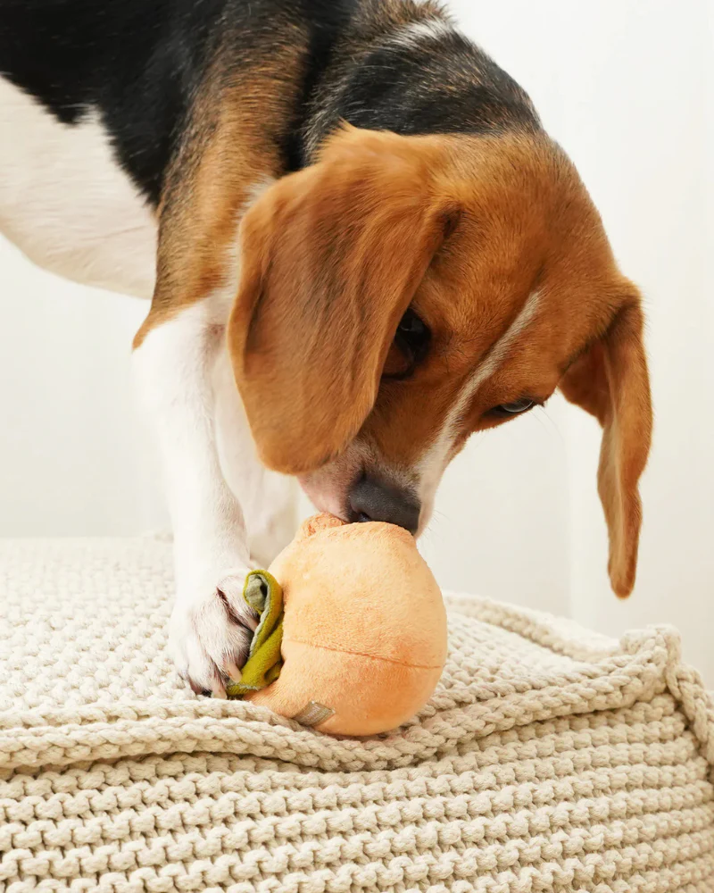Persimmon Snuffle Squeaky Plush Toy for Dogs - Image 4