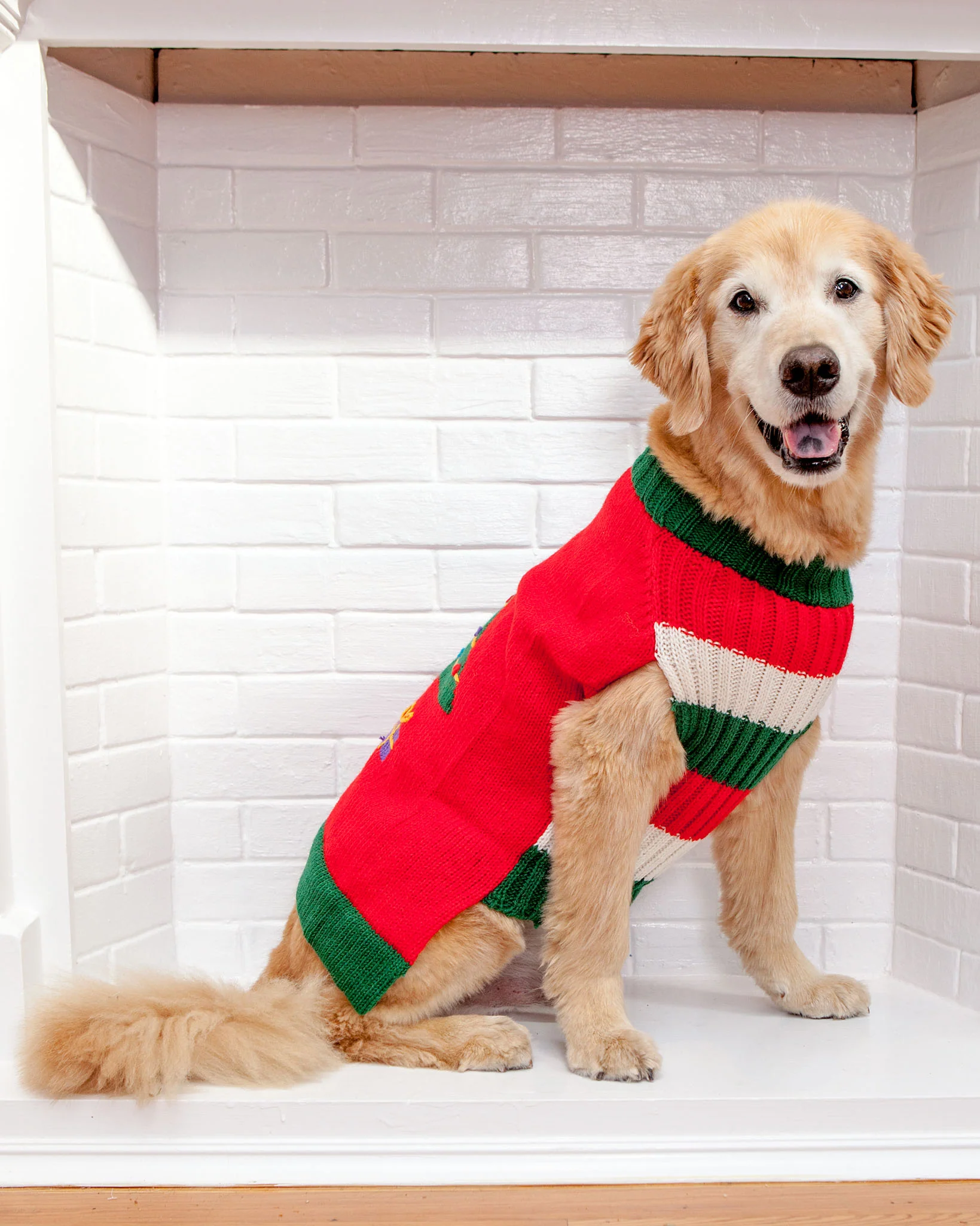 Barking Around the Christmas Tree Handknit Dog Sweater - Image 4