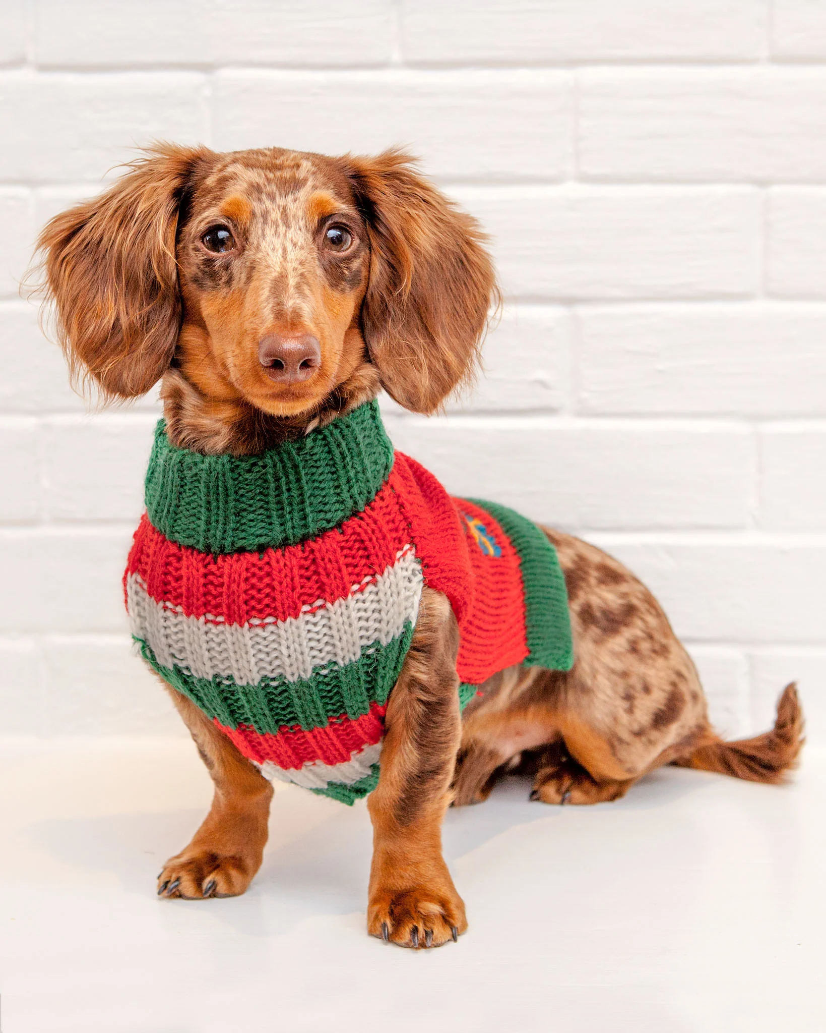 Barking Around the Christmas Tree Handknit Dog Sweater - Image 6