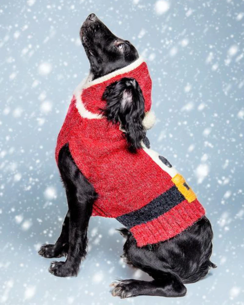 Santa Paws Hand Knit Dog Sweater (FINAL SALE) - Image 9