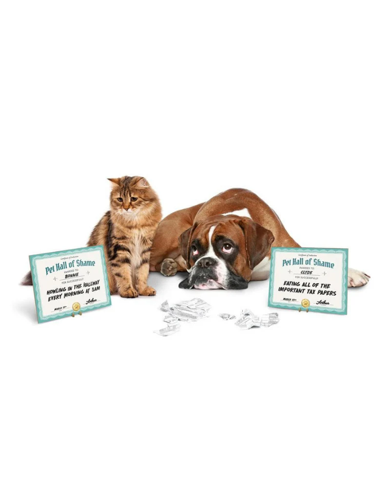 Pet Hall Of Shame Dry Erase Board<br>(FINAL SALE) - Image 3