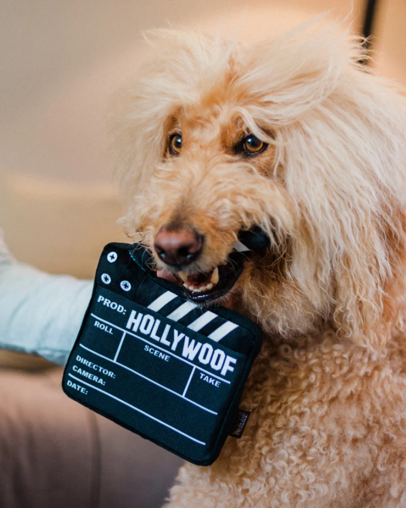 Doggy Director Board Hollywoof Collection Dog Toy (FINAL SALE) - Image 2