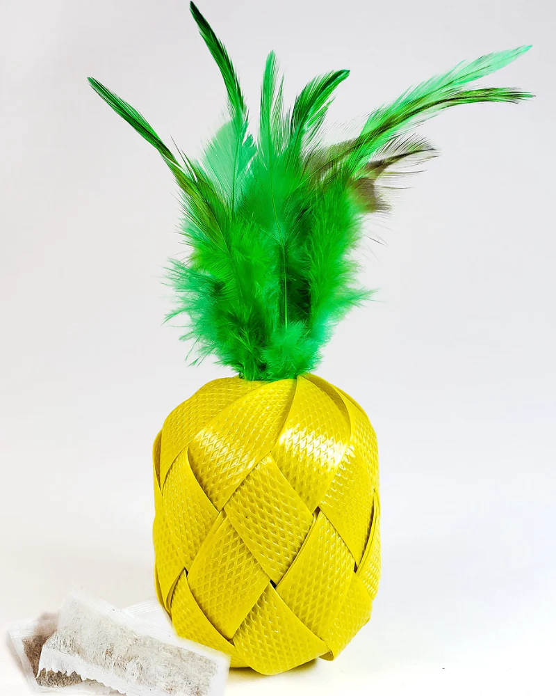 Piña Catlada Catnip Toy - Image 2