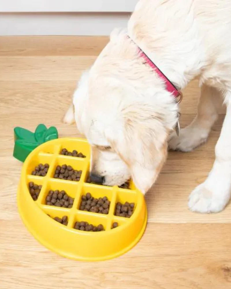 Pineapple Slow Feeder Dog Bowl (CLEARANCE) - Image 3