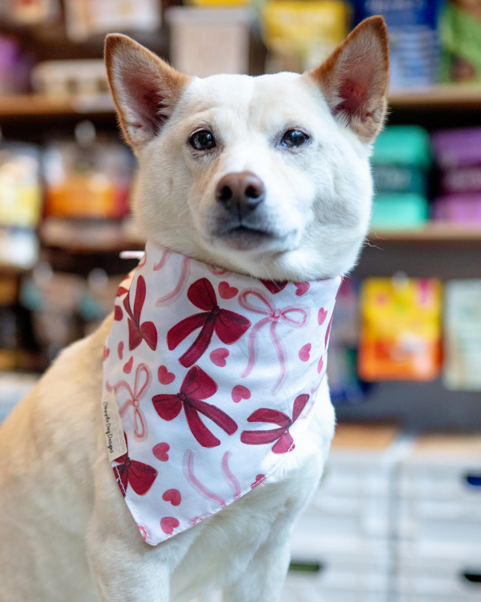 Pink Bows Dog Bandana (Made in the USA) (FINAL SALE)