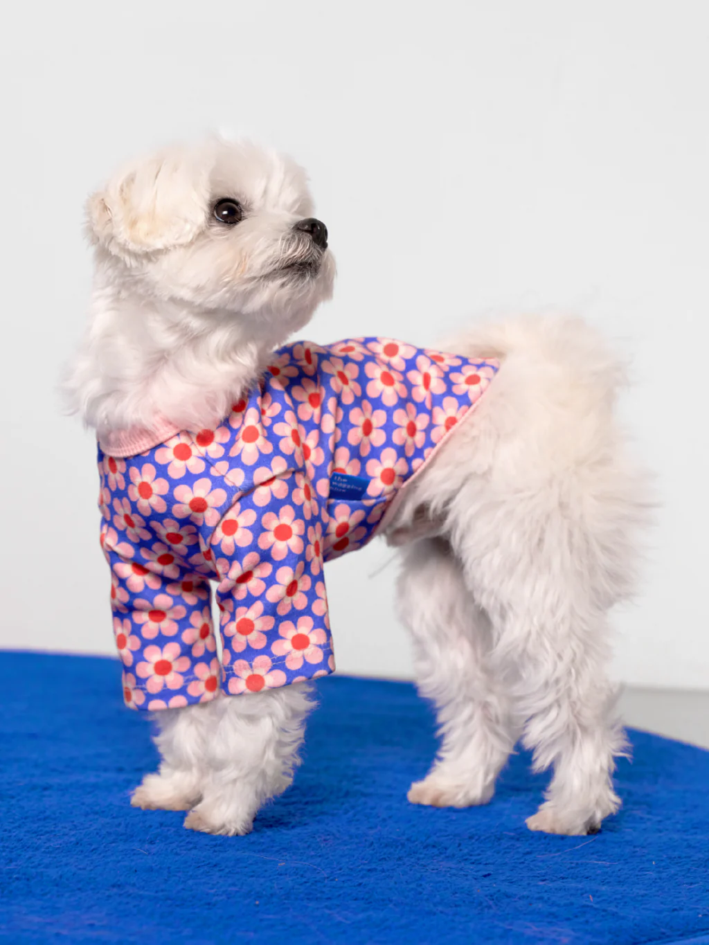 Pink Lotus Dog Shirt (FINAL SALE)