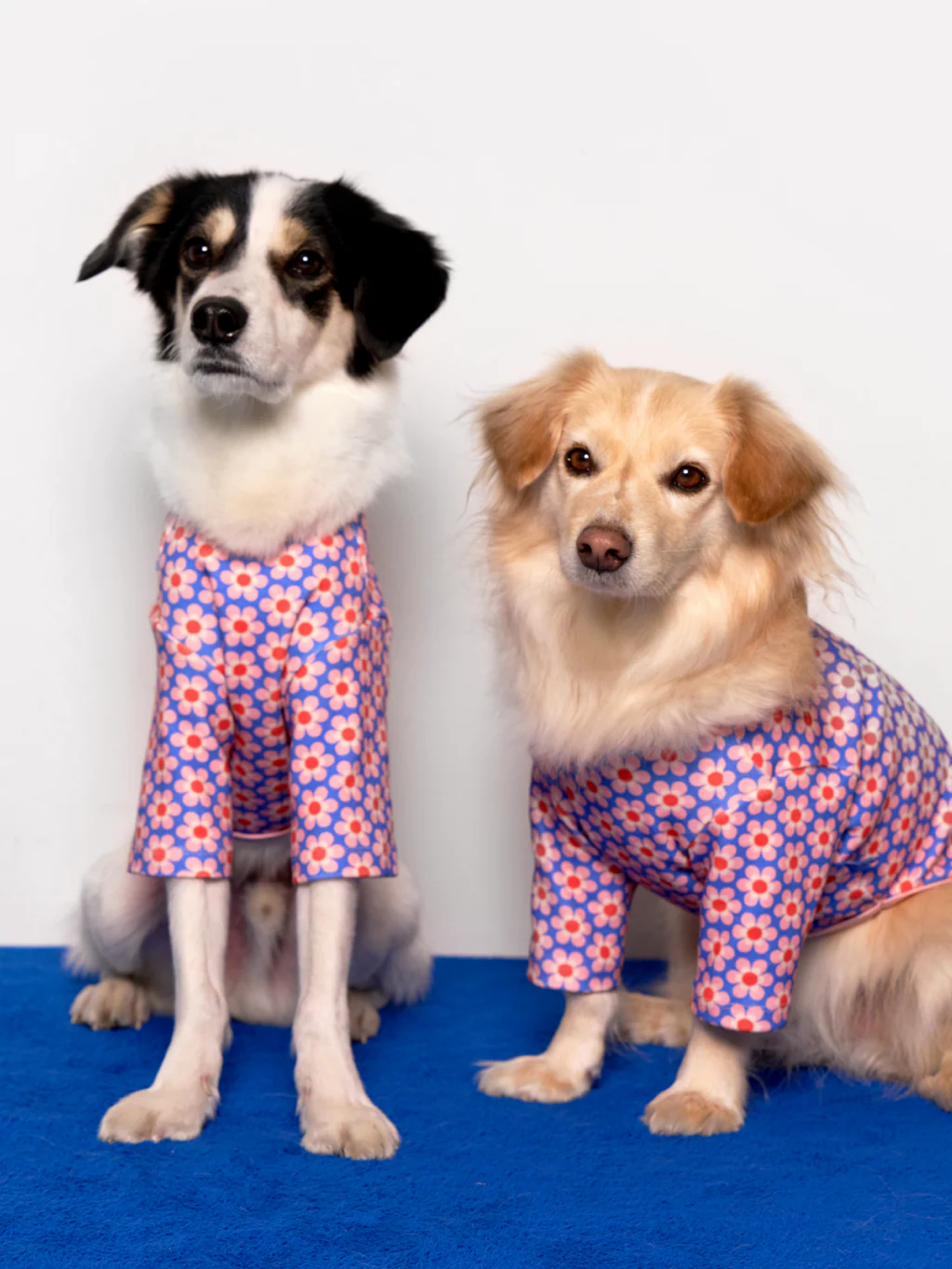 Pink Lotus Dog Shirt (FINAL SALE) - Image 4