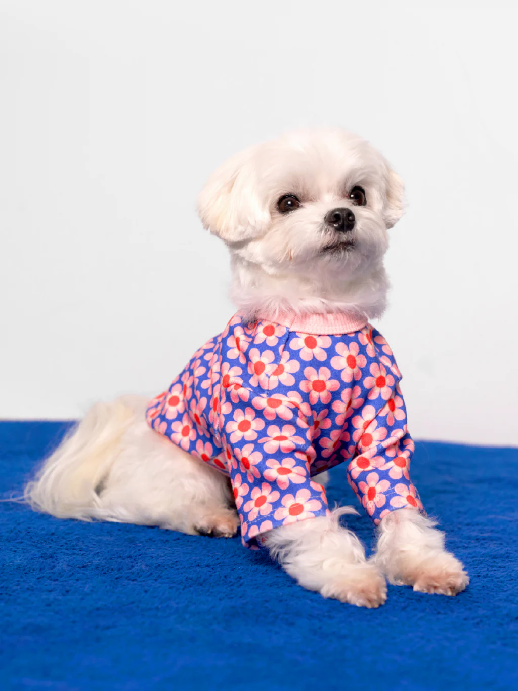 Pink Lotus Dog Shirt (FINAL SALE) - Image 6