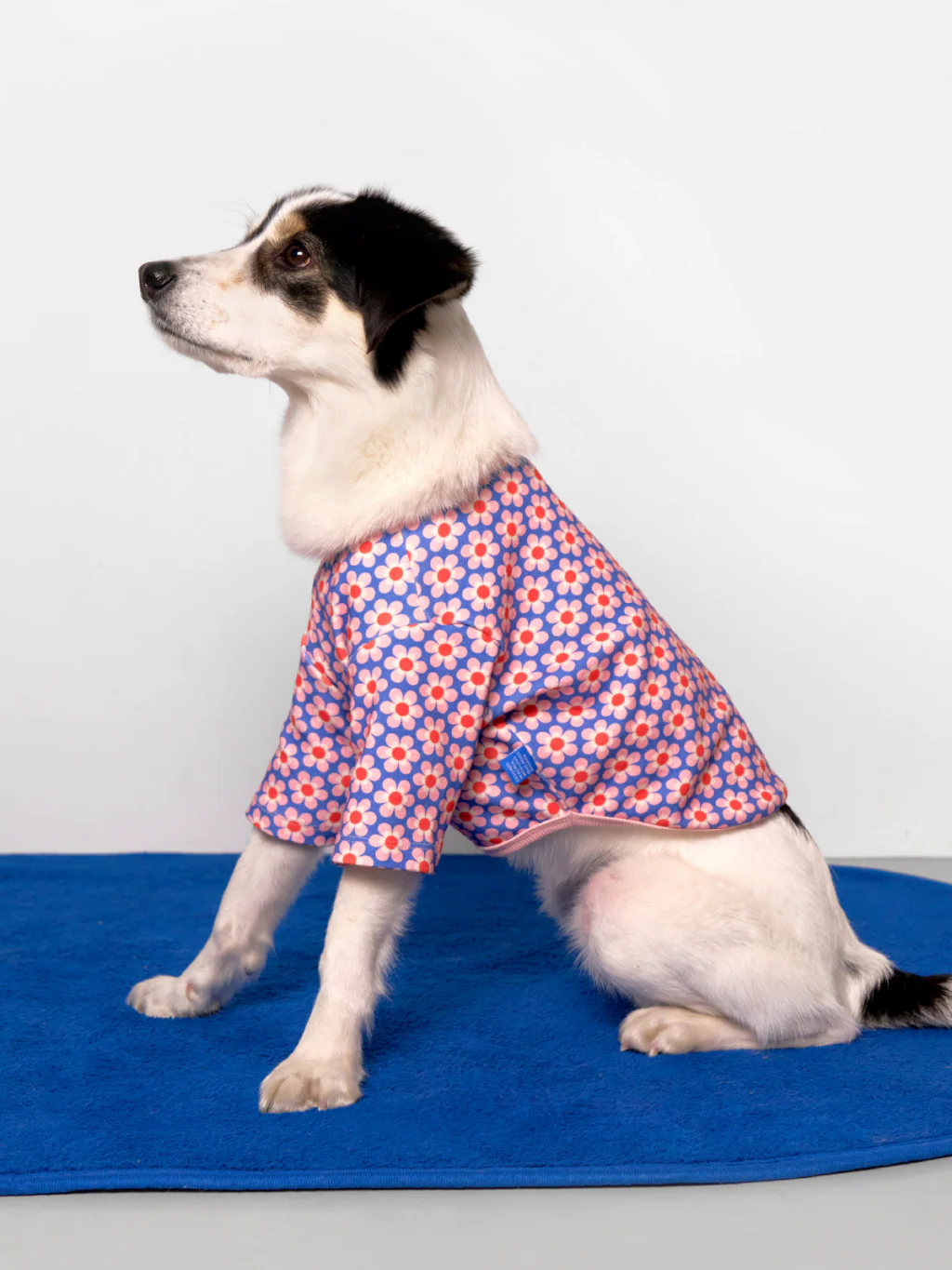 Pink Lotus Dog Shirt (FINAL SALE) - Image 7