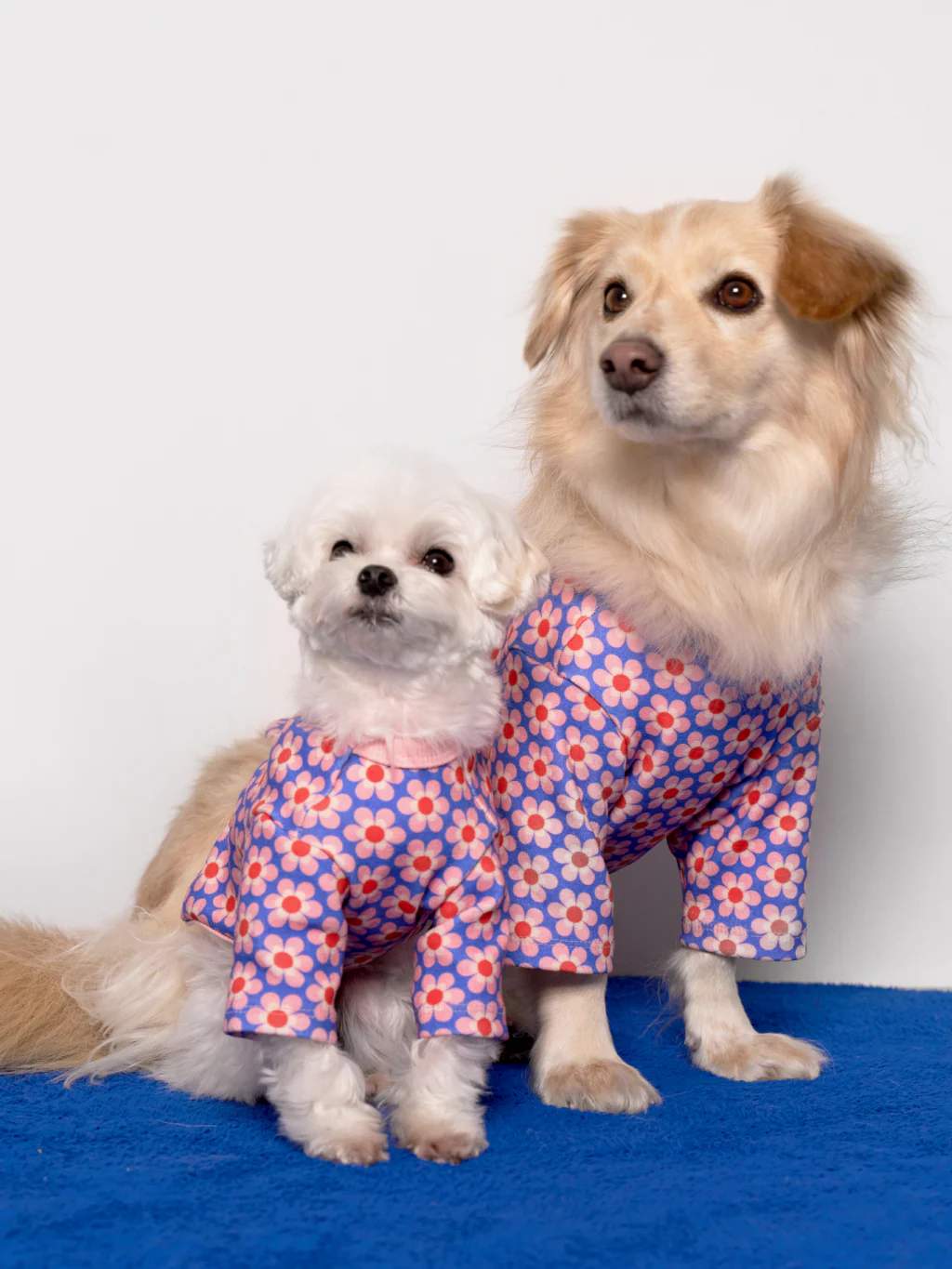 Pink Lotus Dog Shirt (FINAL SALE) - Image 8