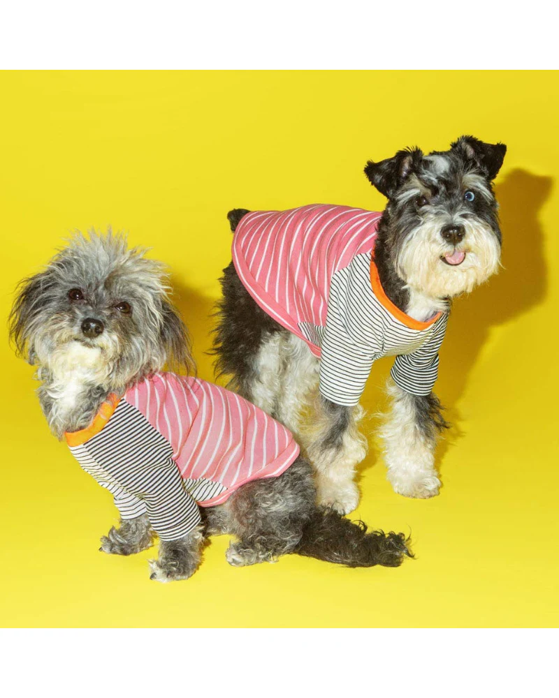 Pink & White Crazy Striped Dog T-Shirt (Made in the USA)