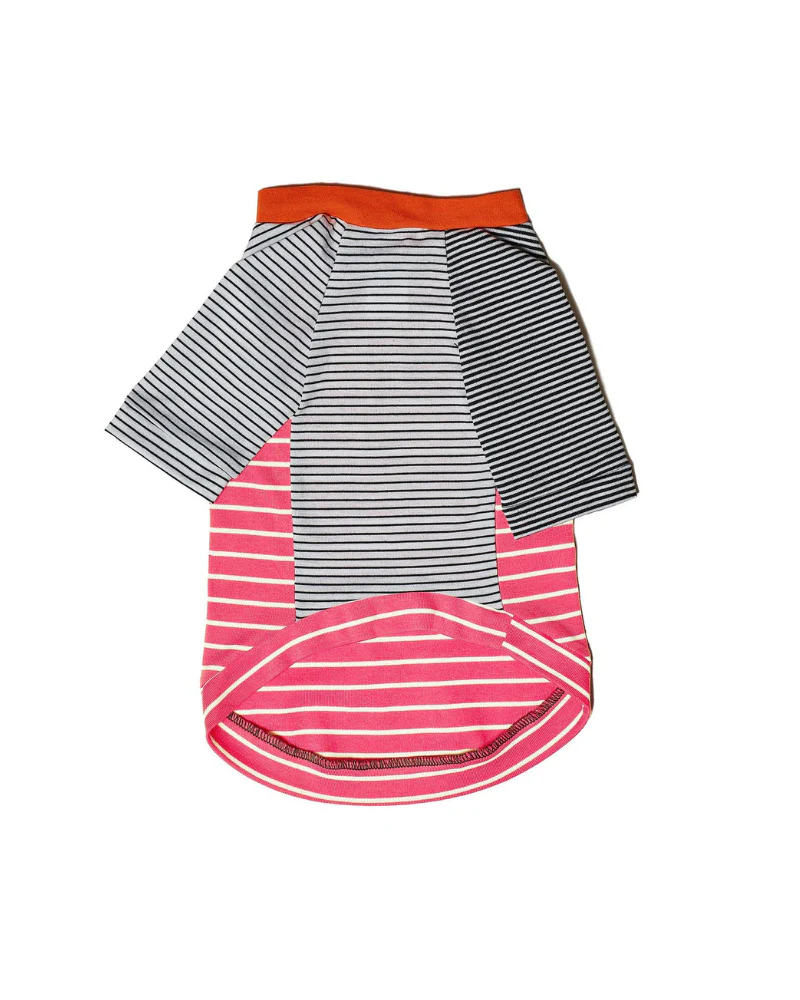 Pink & White Crazy Striped Dog T-Shirt (Made in the USA) - Image 2