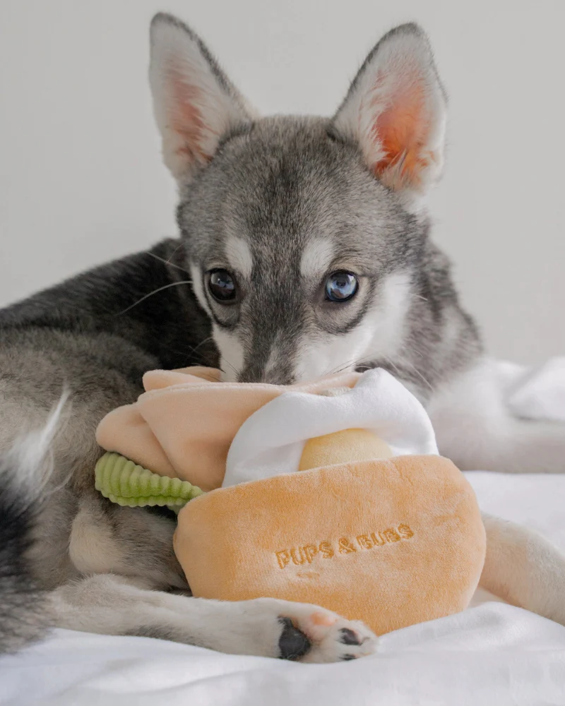 Pita Pocket Nosework Dog Toy - Image 2