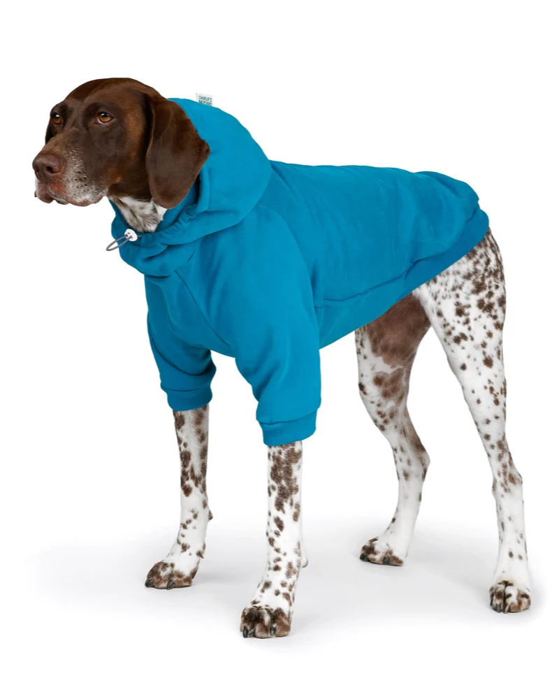Dog Hoodie in Teal (CLEARANCE) - Image 10