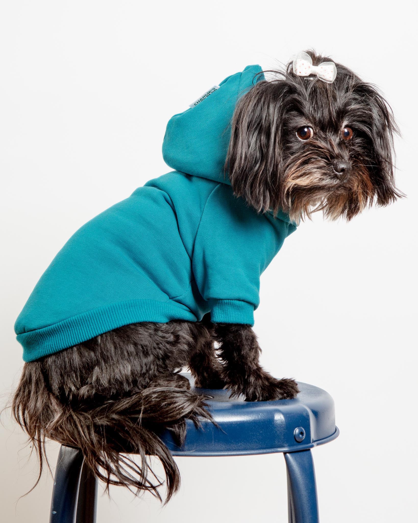 Dog Hoodie in Teal (CLEARANCE) - Image 2