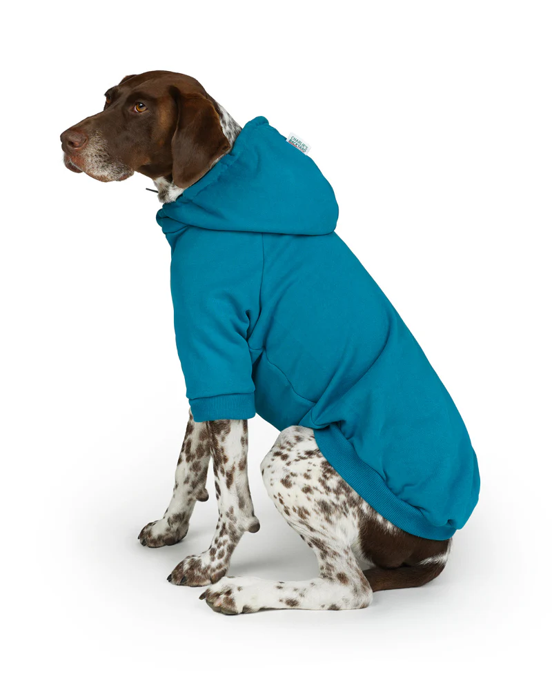 Dog Hoodie in Teal (CLEARANCE) - Image 8