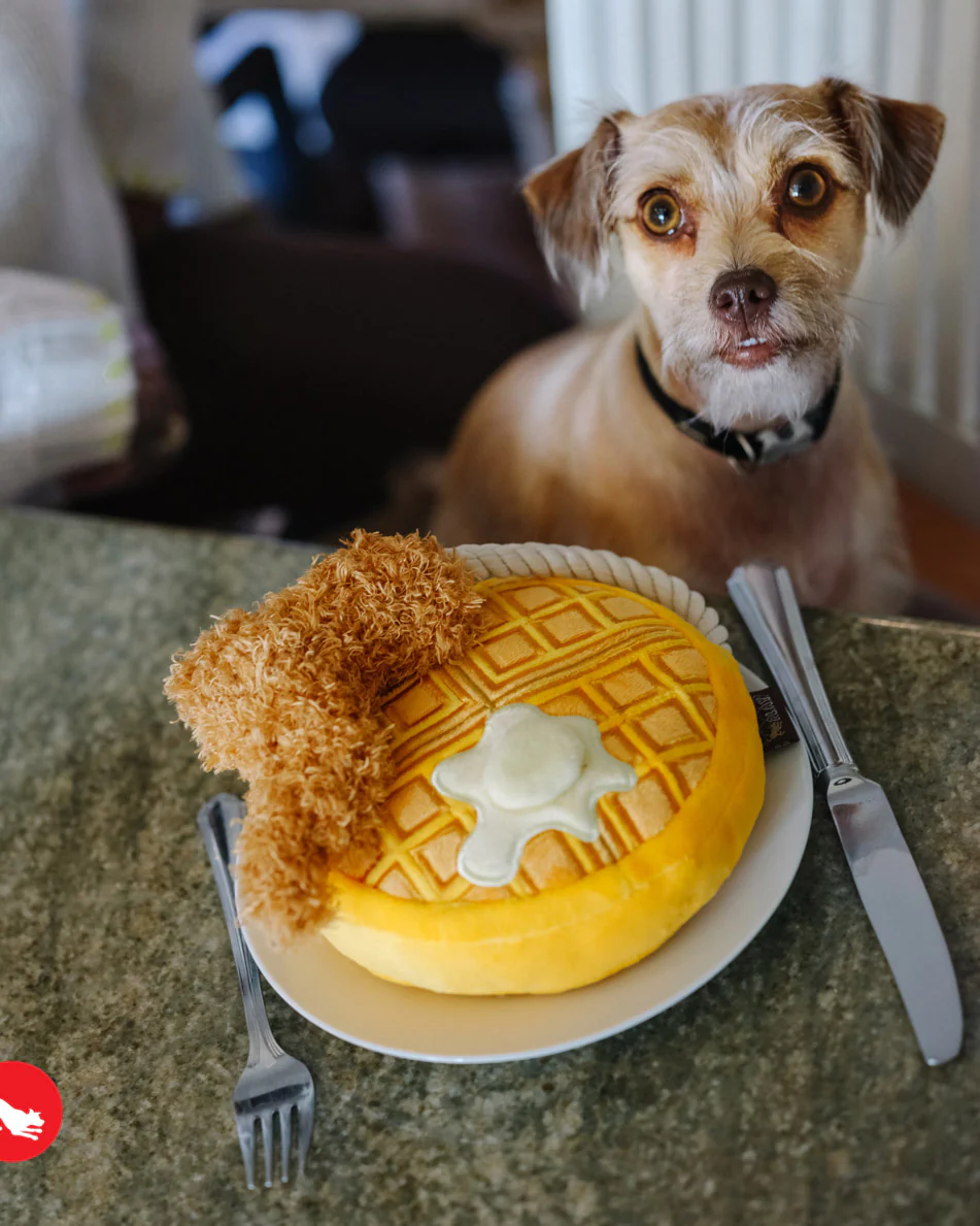 Chicken & Waffles Brunch Squeaky Plush Dog Toy - Image 3