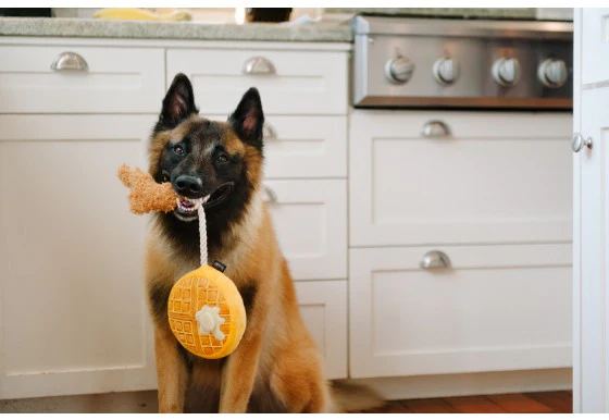 Chicken & Waffles Brunch Squeaky Plush Dog Toy - Image 4