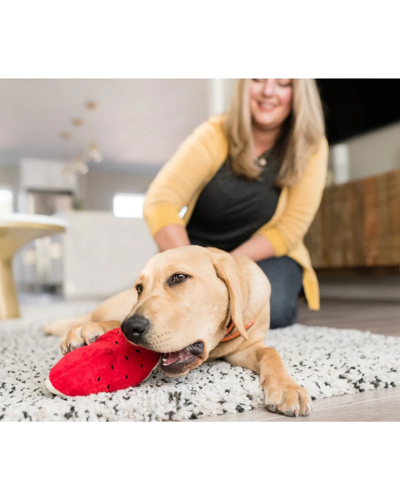 Wagging Watermelon Plush Dog Toy - Image 4