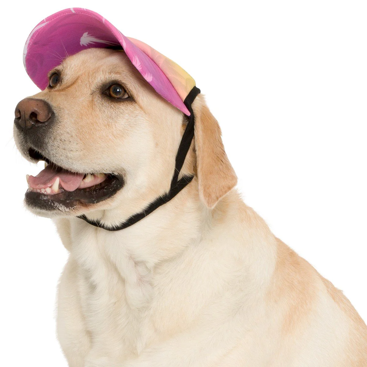 PLAYA PUP | Dog Visor in Tropical Treasure Green - Image 3