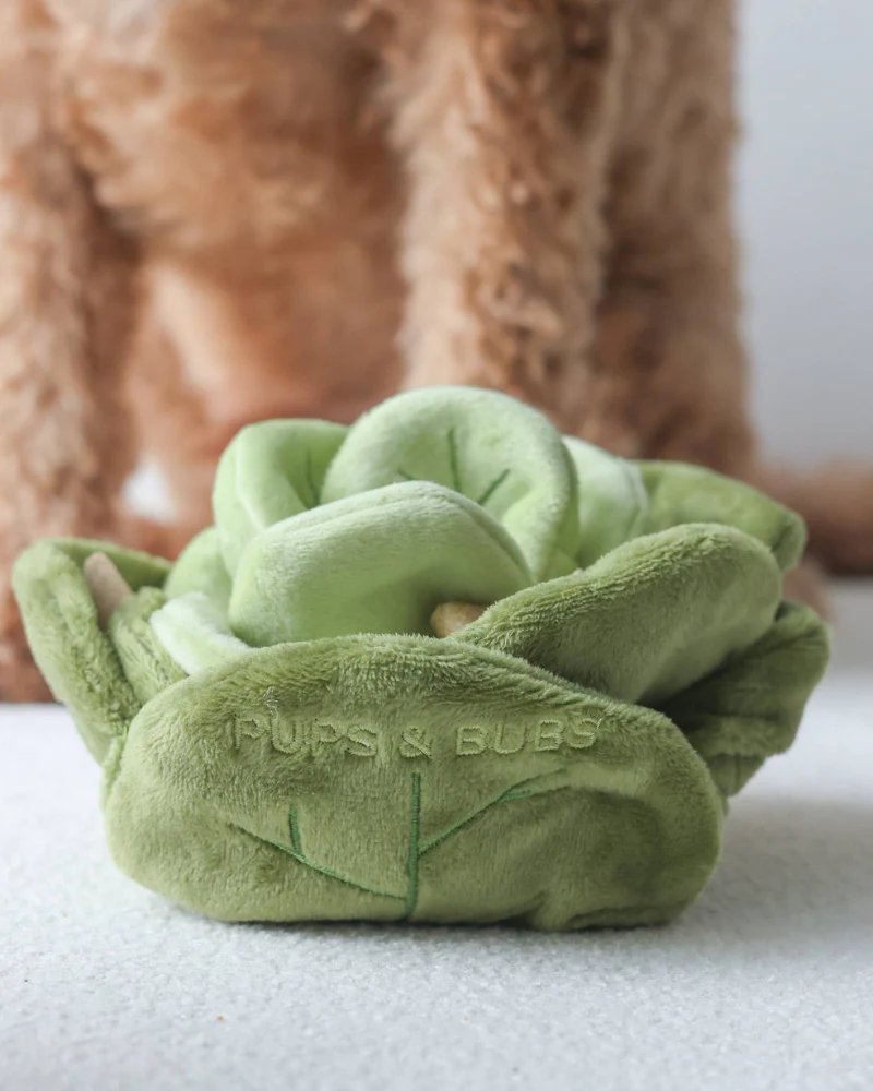 Plush Cabbage Snuffle Dog Toy - Image 3