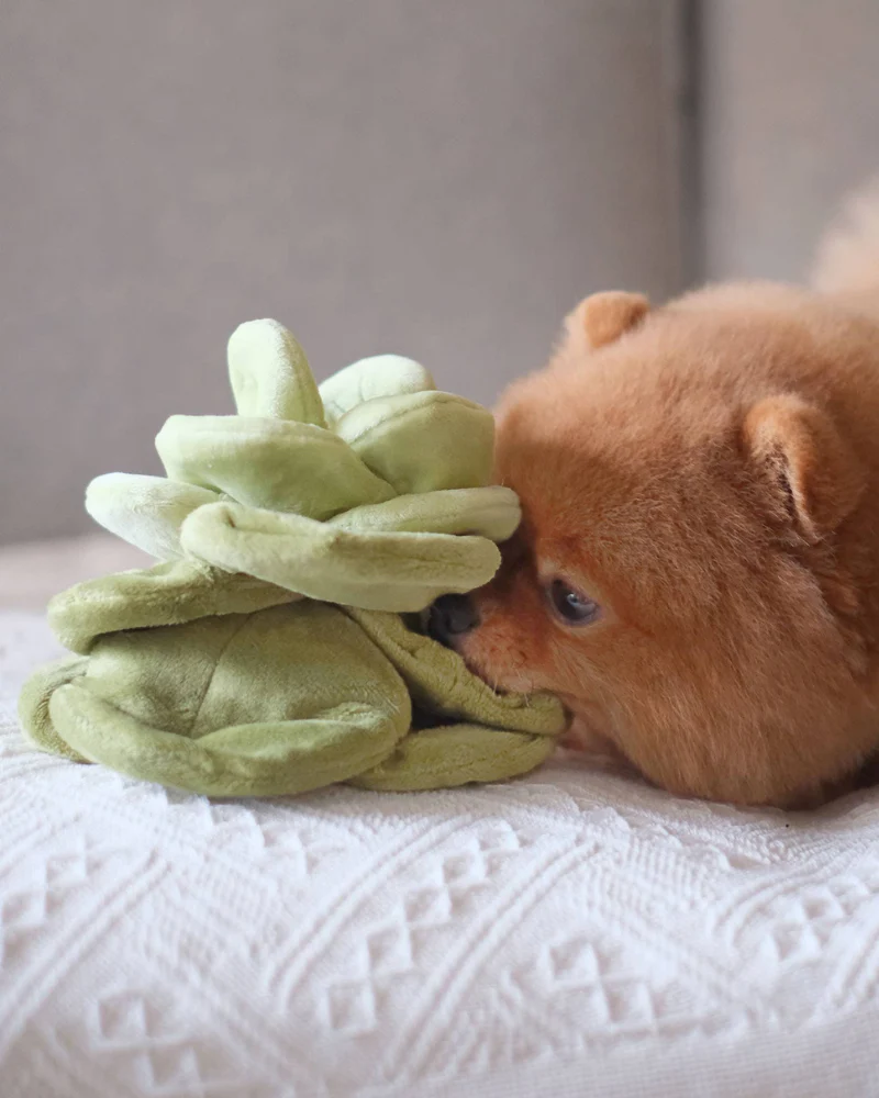 Plush Cabbage Snuffle Dog Toy - Image 4
