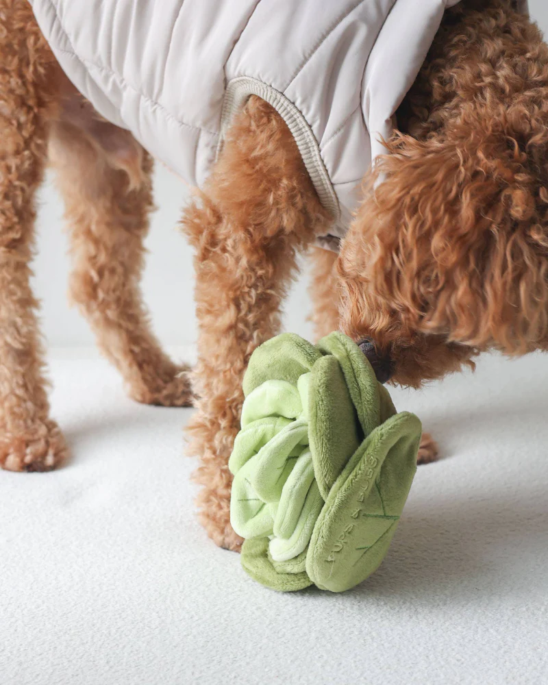 Plush Cabbage Snuffle Dog Toy - Image 5