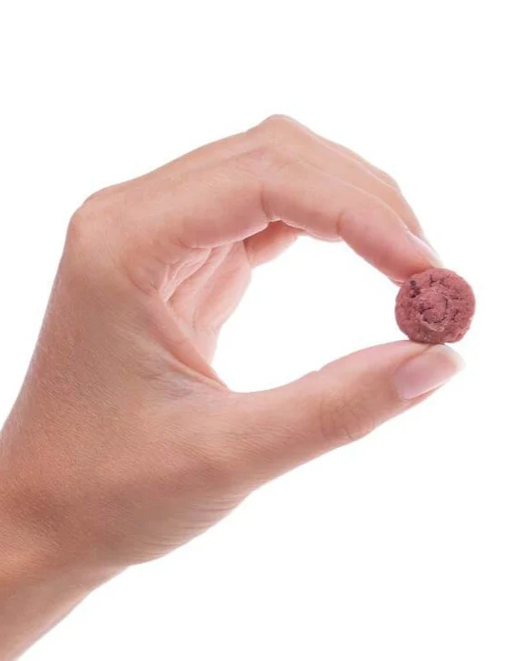 Bacon Bites Dog Treats (Made in the USA) - Image 3