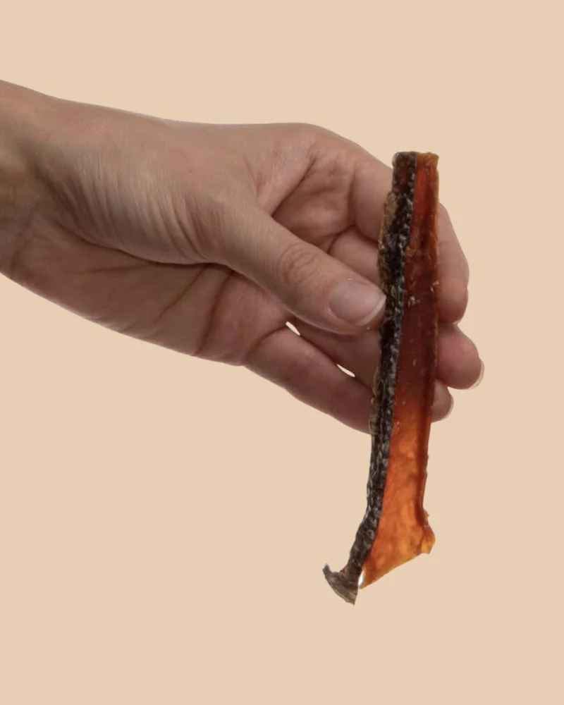 Wild Alaskan Salmon Frites Dog Treats (Made in the USA) - Image 2